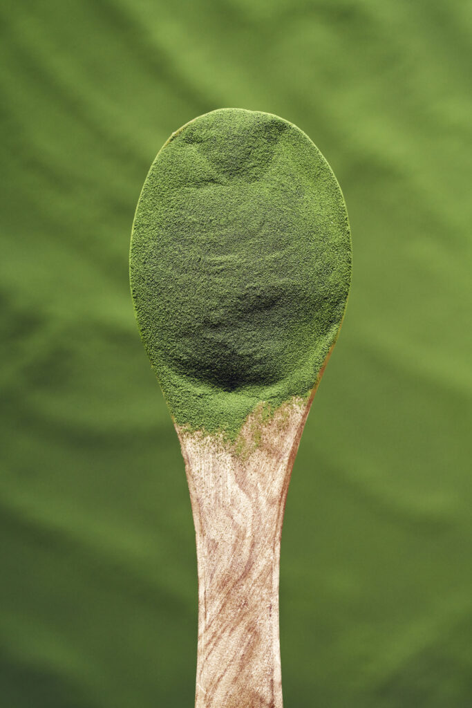 Chlorella Algenpulver auf einem Holzlöffel.