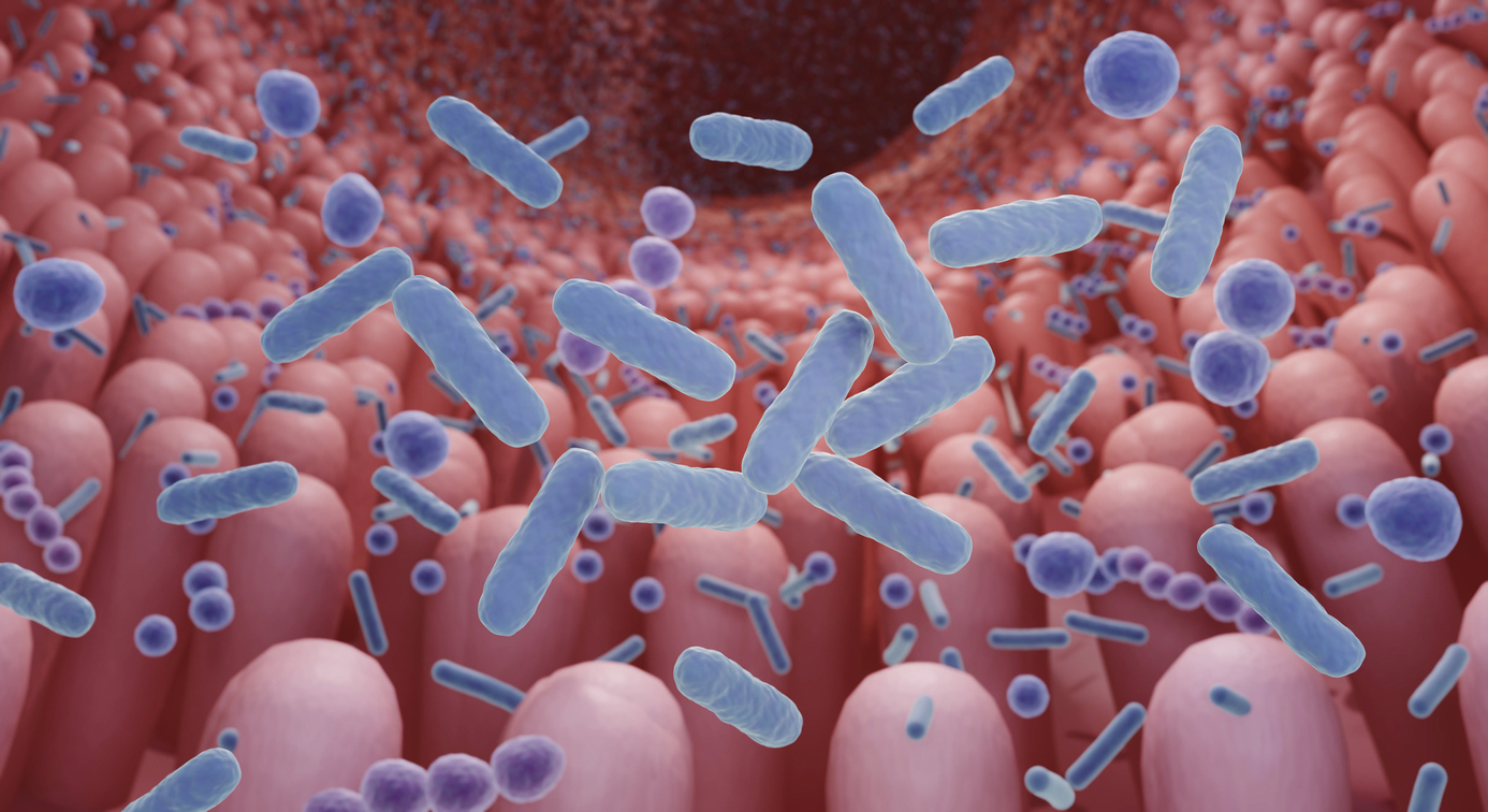 Mikrobiom: Das Geheimnis eines gesunden Körpers