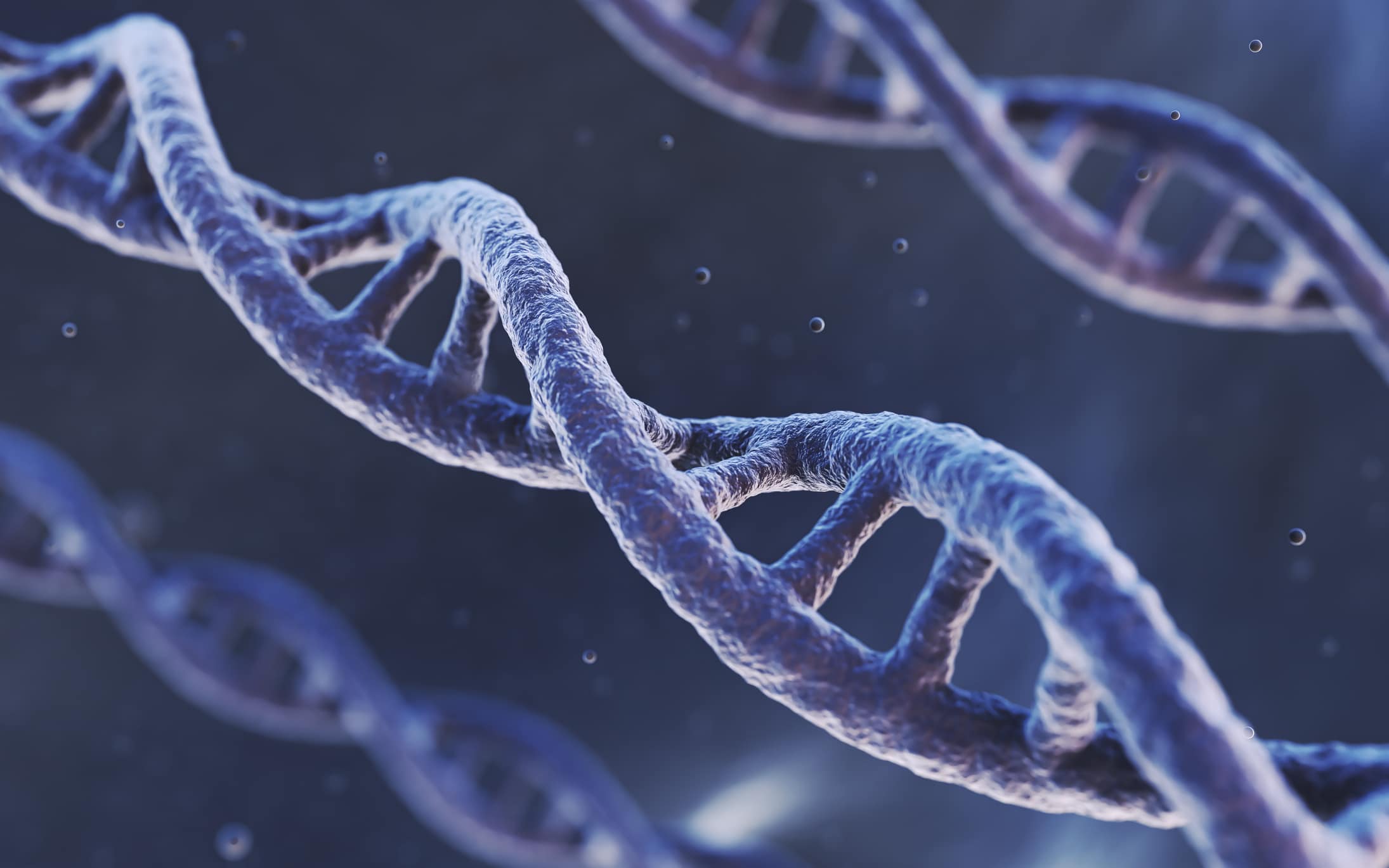 Das „Wunder“ der Epigenetik